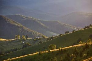 Przewodnik po świecie motocykli - historia, ciekawostki i inspiracje